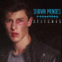 Cover: Shawn Mendes - Stitches