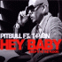 Cover: Pitbull feat. T-Pain - Hey Baby (Drop It To The Floor)