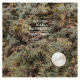 Cover Platz 8