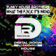 Funky House Brothers – What The (F.N.K) It's Wknd