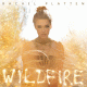 Cover: Rachel Platten - Wildfire