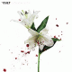 Cover Platz 11