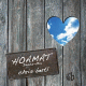 Cover Platz 7