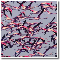 Cover: Deftones - Gore