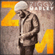 Cover: Ziggy Marley - Ziggy Marley