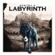 Cover Platz 64