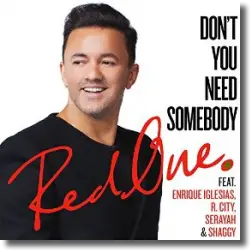 Cover: RedOne feat. Enrique Iglesias, R. City, Serayah & Shaggy - Don't You Need Somebody