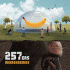 Cover Platz 11