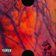 Cover Platz 8