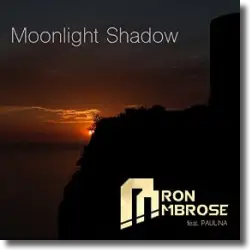 Cover: Aaron Ambrose feat. Paulina - Moonlight Shadow