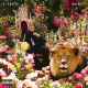 Cover Platz 13