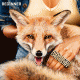 Cover Platz 91