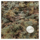 Cover Platz 29
