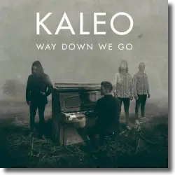 Cover: Kaleo - Way Down We Go