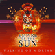Cover: Empire Of The Sun - Walking On A Dream