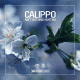 Cover Platz 10