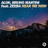 Cover: Alok & Bruno Martini feat. Zeeba - Hear Me Now