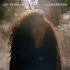 Cover: Joy Denalane - Hologramm