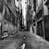 Cover: Lumaraa - Grau in Grau
