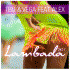 Cover Platz 21