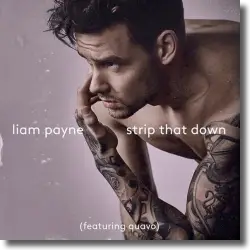 Cover: Liam Payne feat. Quavo - Strip That Down