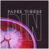 Paper Tigers – Drinking In The Night