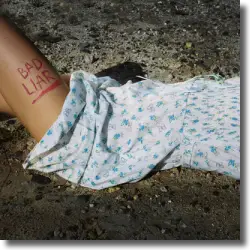 Cover: Selena Gomez - Bad Liar