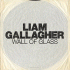 Cover: Liam Gallagher - Wall Of Glass