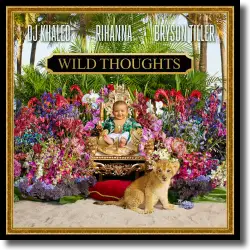 Cover: DJ Khaled feat. Rihanna & Bryson Tiller - Wild Thoughts