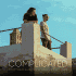 Cover Platz 82