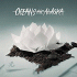 Cover Platz 8