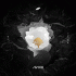 Cover: Avicii - AVICI