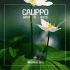 Cover Platz 17