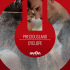 Cover Platz 6