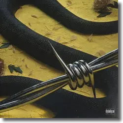 Cover: Post Malone feat. 21 Savage - rockstar