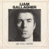 Cover: Liam Gallagher - As You Were