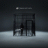 Cover: NF - Perception