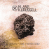Cover: Klangkarussell feat. Mando Diao - Jericho