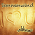 Cover: Le Rock & RoxS feat. Jimi Weissleder - Sonnenwind