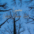 Cover: Lumaraa - Unter meiner Haut