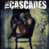 Cover Platz 20