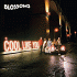 Cover: Blossoms - Cool Like You