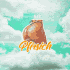 Cover Platz 95