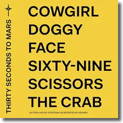 Cover: Thirty Seconds To Mars - America