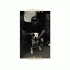 Cover Platz 40