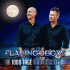 Cover: Flamingoboys - 1000 Tage 1000 Nächte
