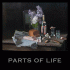 Cover: Paul Kalkbrenner - Part Six