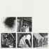 Cover: Nine Inch Nails - Bad Witch