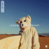 Cover: ItaloBrothers - Looking Back Someday
