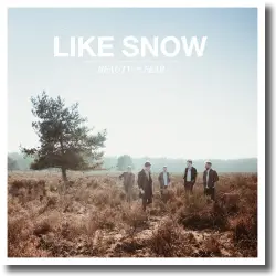 Cover: Like Snow - Beauty & Fear